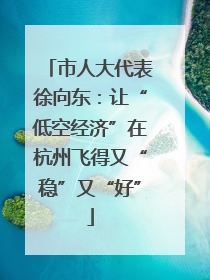 市人大代表徐向东：让“低空经济”在杭州飞得又“稳”又“好”
