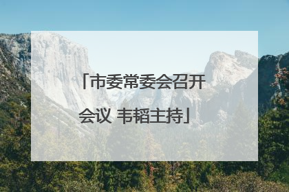 市委常委会召开会议 韦韬主持