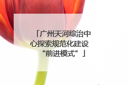 广州天河综治中心探索规范化建设“前进模式”