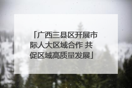 广西三县区开展市际人大区域合作 共促区域高质量发展