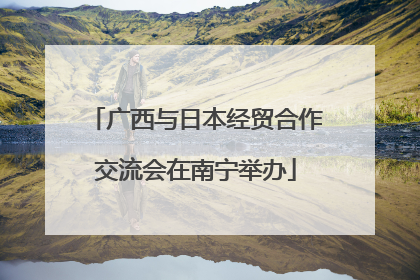 广西与日本经贸合作交流会在南宁举办