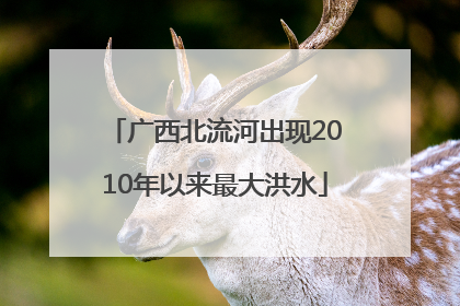 广西北流河出现2010年以来最大洪水