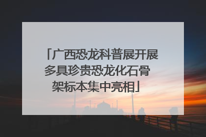 广西恐龙科普展开展 多具珍贵恐龙化石骨架标本集中亮相