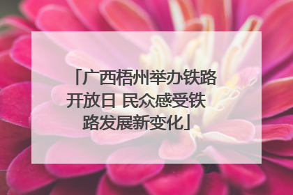 广西梧州举办铁路开放日 民众感受铁路发展新变化