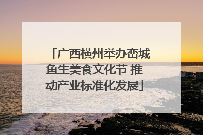 广西横州举办峦城鱼生美食文化节 推动产业标准化发展