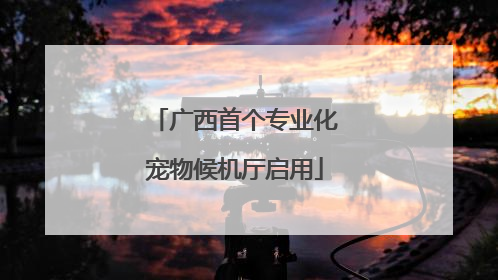 广西首个专业化宠物候机厅启用