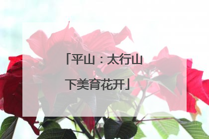 平山：太行山下美育花开