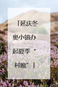 延庆冬奥小镇办起夏季“村晚”