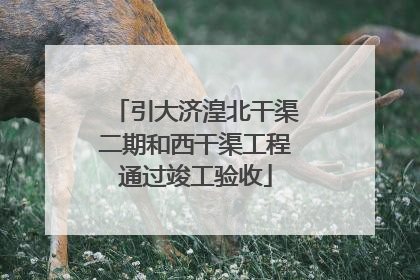 引大济湟北干渠二期和西干渠工程通过竣工验收