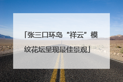 张三口环岛“祥云”模纹花坛呈现最佳景观