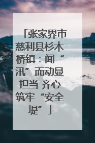 张家界市慈利县杉木桥镇：闻“汛”而动显担当 齐心筑牢“安全堤”