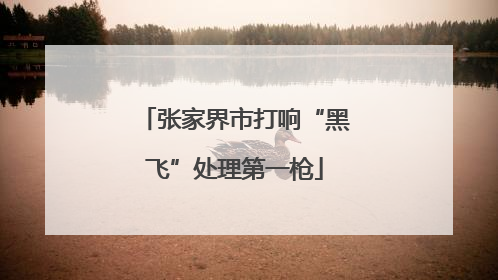 张家界市打响“黑飞”处理第一枪