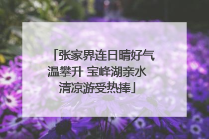 张家界连日晴好气温攀升 宝峰湖亲水清凉游受热捧