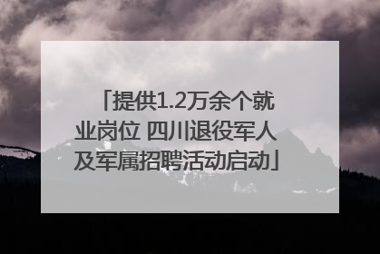 提供1.2万余个就业岗位 四川退役军人及军属招聘活动启动