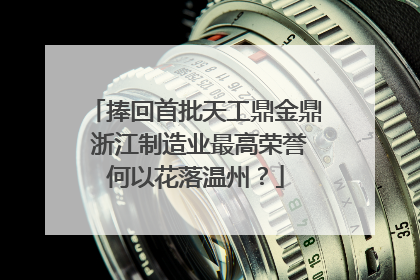 捧回首批天工鼎金鼎 浙江制造业最高荣誉何以花落温州？