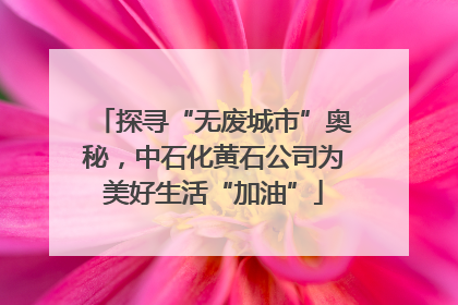 探寻“无废城市”奥秘，中石化黄石公司为美好生活“加油”