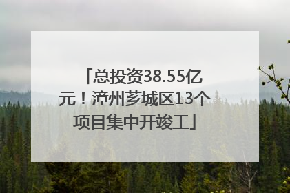 总投资38.55亿元！漳州芗城区13个项目集中开竣工