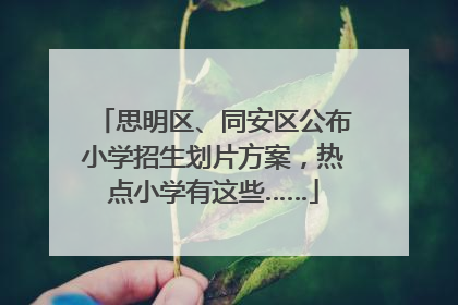 思明区、同安区公布小学招生划片方案，热点小学有这些……