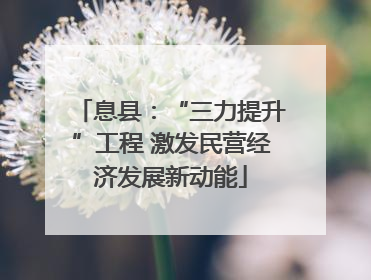 息县：“三力提升”工程 激发民营经济发展新动能