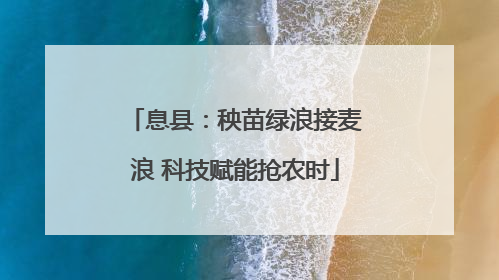 息县：秧苗绿浪接麦浪 科技赋能抢农时