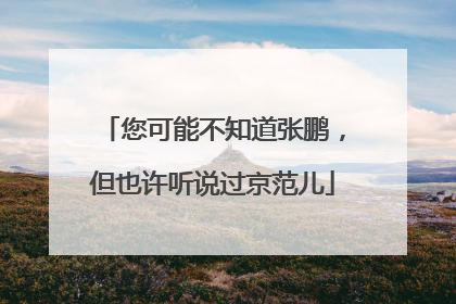 您可能不知道张鹏，但也许听说过京范儿