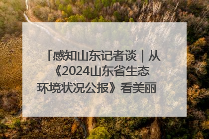 感知山东记者谈｜从《2024山东省生态环境状况公报》看美丽山东建设的“成绩单”与“任务书”