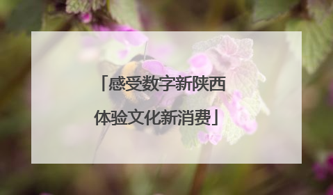 感受数字新陕西 体验文化新消费