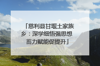慈利县甘堰土家族乡：深学细悟强思想 蓄力赋能促提升