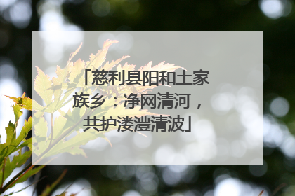 慈利县阳和土家族乡：净网清河，共护溇澧清波