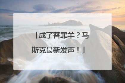 成了替罪羊？马斯克最新发声！