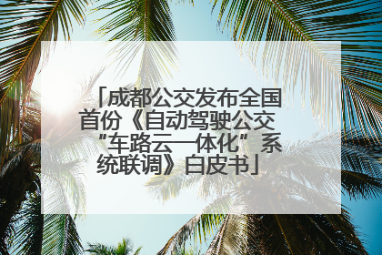 成都公交发布全国首份《自动驾驶公交“车路云一体化”系统联调》白皮书