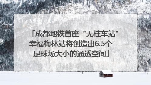 成都地铁首座“无柱车站”幸福梅林站将创造出6.5个足球场大小的通透空间