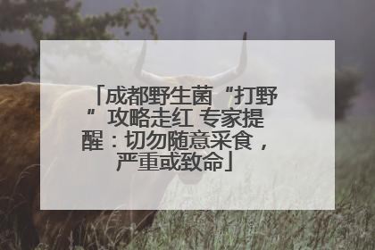 成都野生菌“打野”攻略走红 专家提醒：切勿随意采食，严重或致命