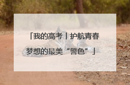 我的高考丨护航青春梦想的最美“警色”