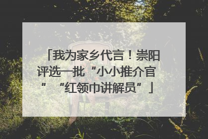 我为家乡代言！崇阳评选一批“小小推介官”“红领巾讲解员”
