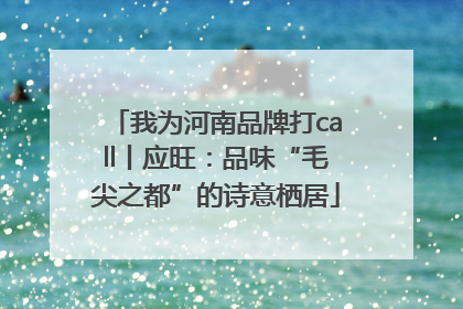 我为河南品牌打call丨应旺：品味“毛尖之都”的诗意栖居