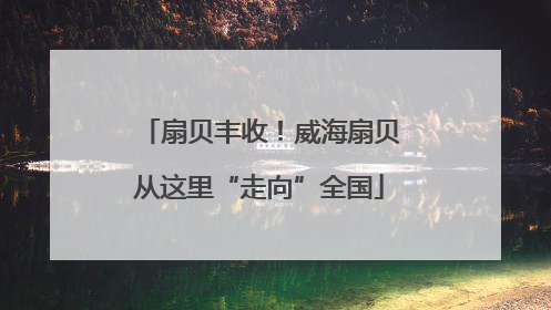 扇贝丰收！威海扇贝从这里“走向”全国