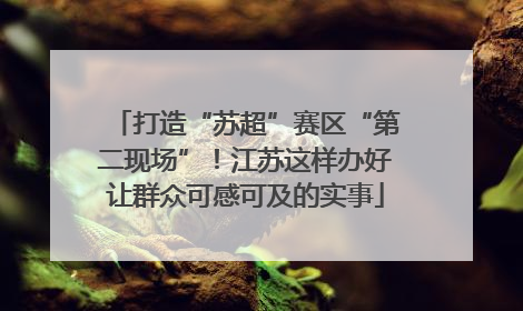 打造“苏超”赛区“第二现场”！江苏这样办好让群众可感可及的实事