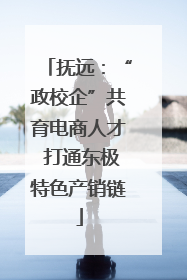 抚远：“政校企”共育电商人才 打通东极特色产销链