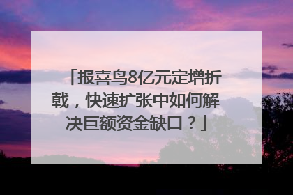报喜鸟8亿元定增折戟，快速扩张中如何解决巨额资金缺口？