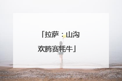 拉萨：山沟欢腾赛牦牛