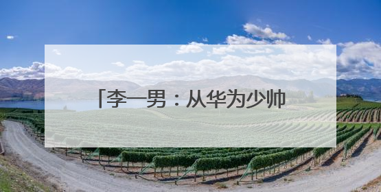李一男：从华为少帅到锂电出行革新者