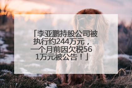 李亚鹏持股公司被执行约244万元，一个月前因欠税561万元被公告！