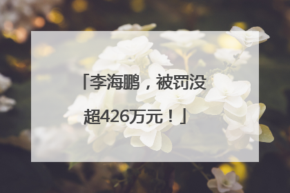 李海鹏，被罚没超426万元！