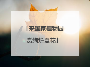 来国家植物园 赏绚烂夏花