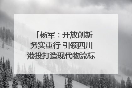 杨军：开放创新 务实重行 引领四川港投打造现代物流标杆｜致敬2024四川经济影响力人物