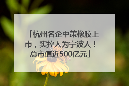 杭州名企中策橡胶上市，实控人为宁波人！总市值近500亿元