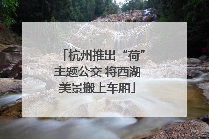杭州推出“荷”主题公交 将西湖美景搬上车厢