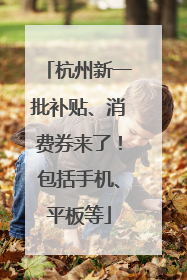 杭州新一批补贴、消费券来了！包括手机、平板等