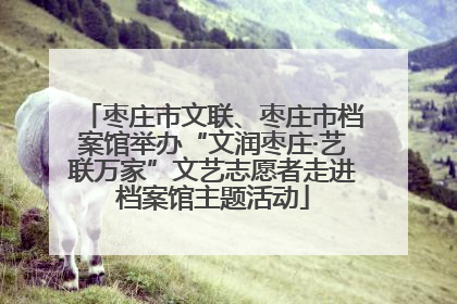 枣庄市文联、枣庄市档案馆举办“文润枣庄·艺联万家”文艺志愿者走进档案馆主题活动
